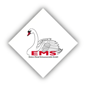 EMS_Logo_Webseite